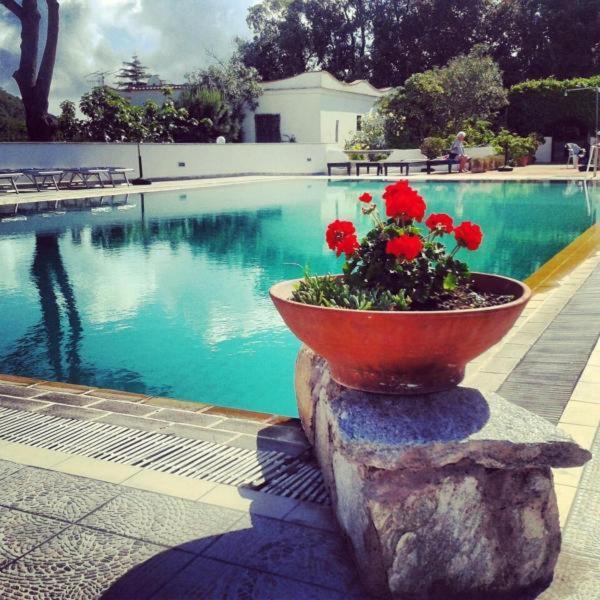 Hotel Al Bosco Forio di Ischia Екстериор снимка